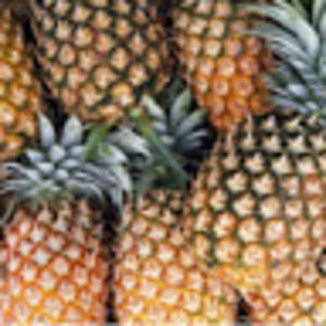 Meet your Posher, Peyton